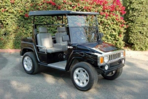 affordable golf cart rental, golf cart rent Providence, providencegolfcartrental, golf cart rental 